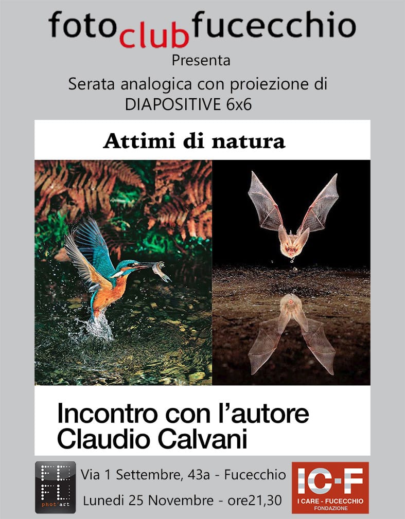Foto Club Fucecchio - Claudio Calvani