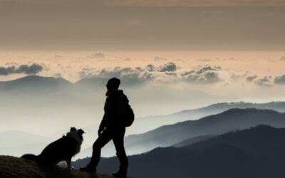 Mostra Fotografica – “Imparando a guardare”